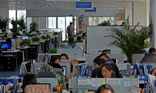 经开区重点服务业增速持续加快 以信息技术咨询服务为引擎